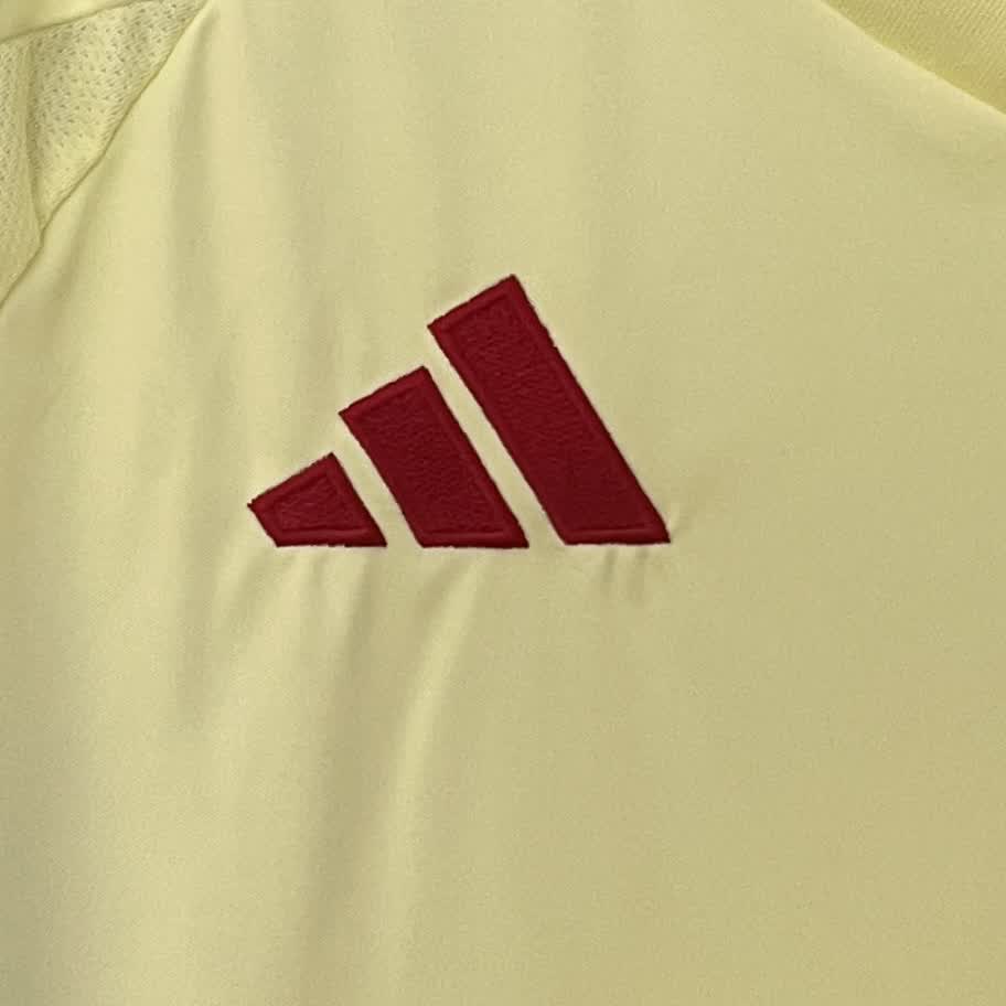 CAMISOLA DA SELEÇÃO DA ESPANHÃ 24/25 AMARELA