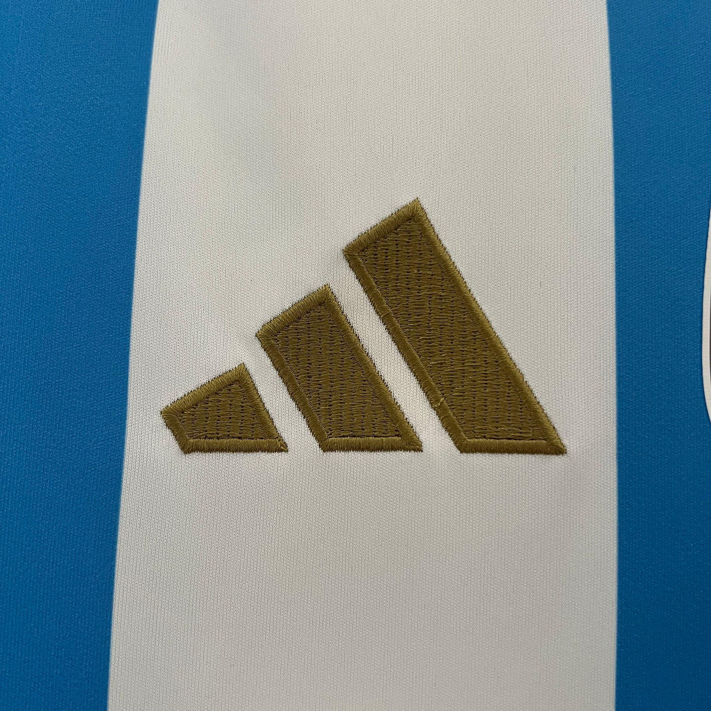 CAMISOLA DA SELEÇÃO DA ARGENTINA 24/25 AZUL E BRANCO